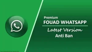 Fouad WhatsApp APK (Updated, Anti-Ban) 1