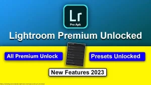 Adobe Lightroom Mod V11.0.1 APK (Premium Unlocked) 6