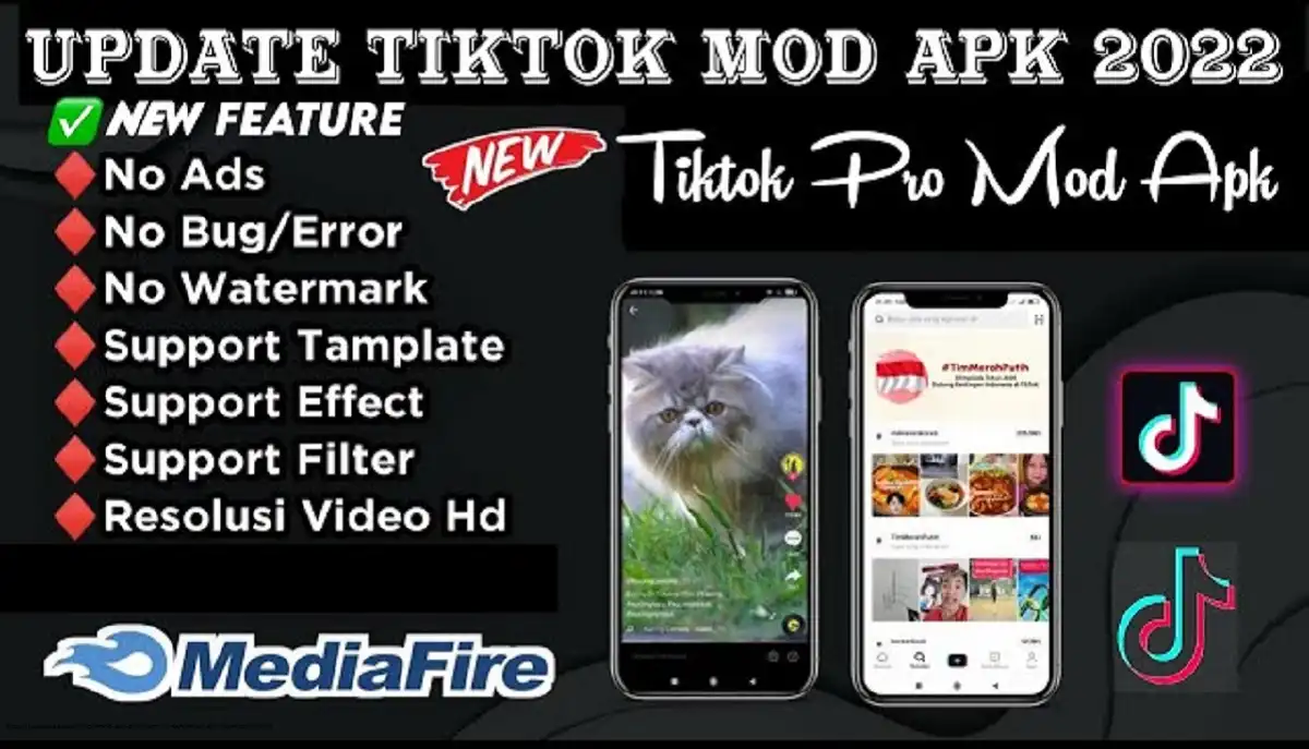TikTok Mod APK Premium unlocked No Watermark