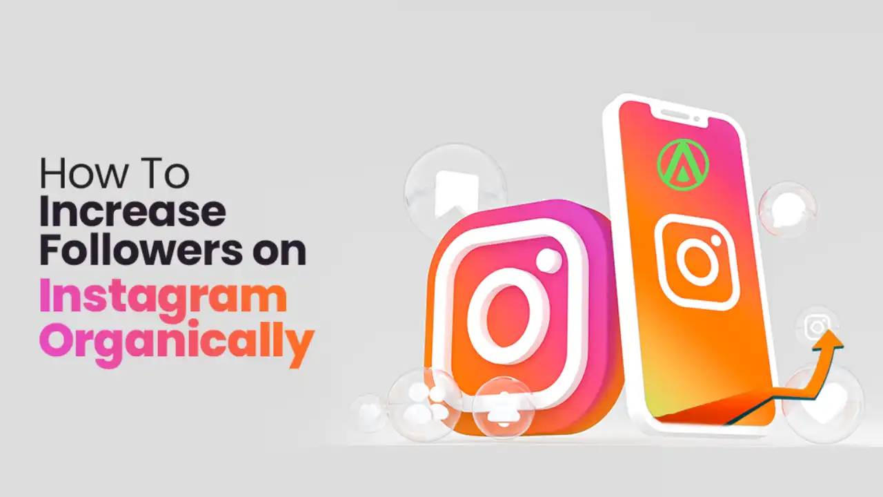 Instagram Best Strategies for Success